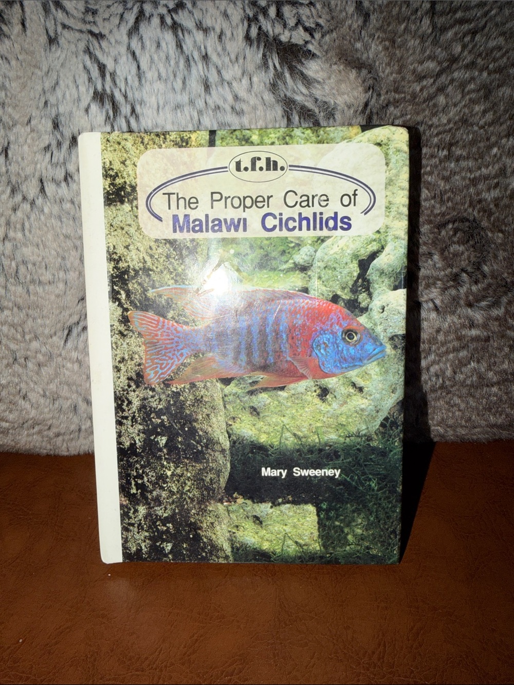 The Proper Care of Malawi Cichlids by Mary Sweeney - Colorful Fish Cover